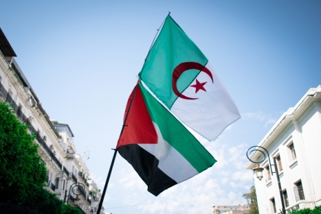 تضامنا مع فلسطين.. الاتحاد الجزائري لكرة القدم يعلق المنافسات الكروية حتى إشعار آخر