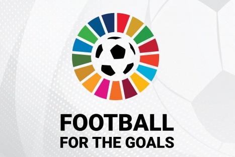 فلسطين تنضم إلى مبادرة الأمم المتحدة &laquo;كرة القدم من أجل الأهداف&raquo;