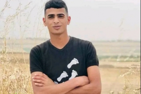 شادي ماجد النباهين