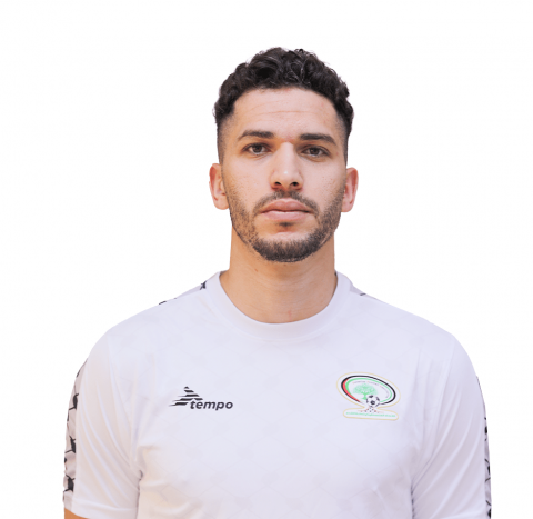 Mahmoud Wadi 
