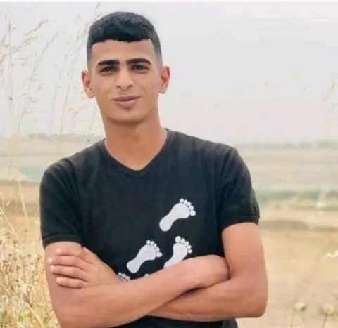 شادي ماجد النباهين