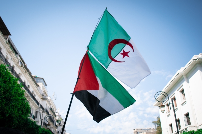 تضامنا مع فلسطين.. الاتحاد الجزائري لكرة القدم يعلق المنافسات الكروية حتى إشعار آخر